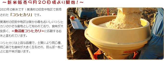 安心栽培米（コシヒカリ）30kg - 野口勘右衛門のお米 - 茨城コシヒカリ
