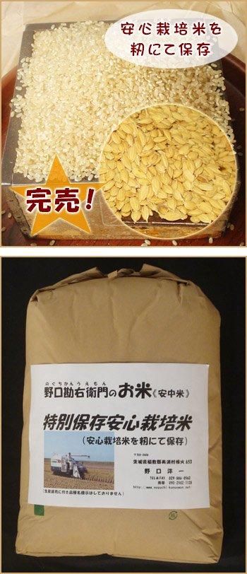 ¸¿ ʥҥ10kg