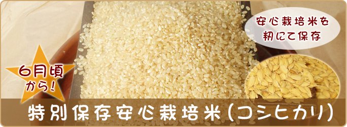 特別保存安心栽培米 （コシヒカリ）10kg