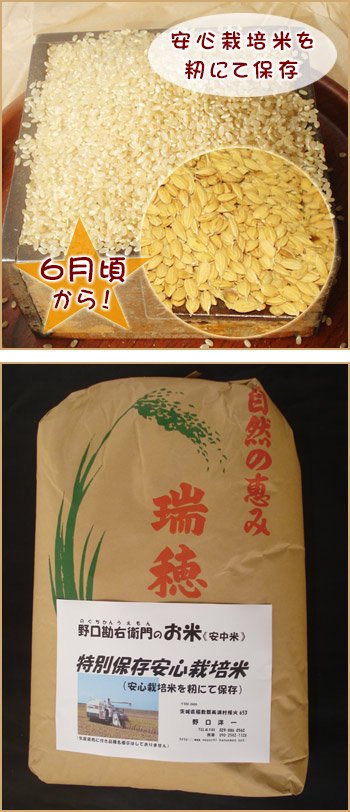 特別保存安心栽培米 （コシヒカリ）30kg