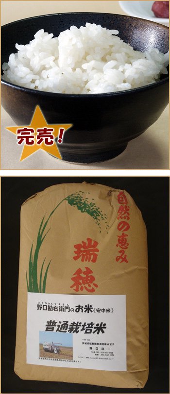 普通栽培米（コシヒカリ）30kg - 野口勘右衛門のお米 - 茨城コシヒカリ 
