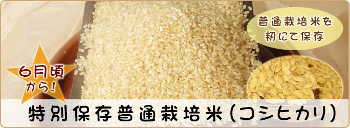 特別保存普通栽培米 （コシヒカリ）30kg