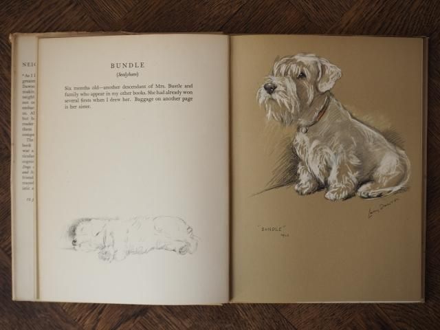 フランスヴィンテージ 犬の肖像画 ハンドペイント カスタムプリンセス・ペットの肖像画を注文する ｜Crown & Paw