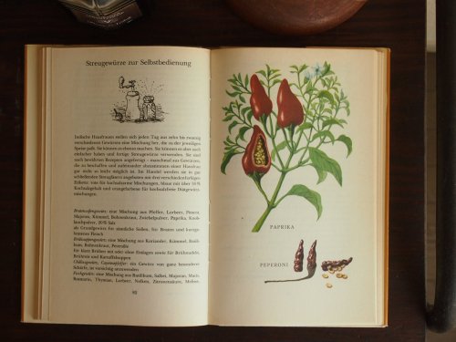 ドイツのハーブ図鑑 - アンティーク食器と雑貨のお店 lincs.［リンクス