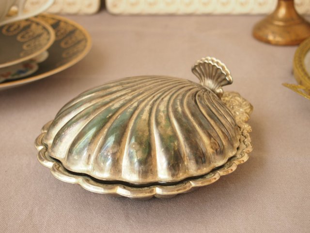 アンティーク　貝殻