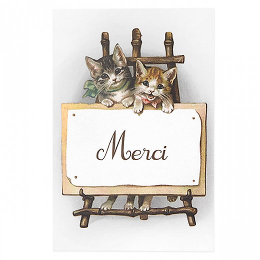 フランス ポストカード 猫 キャット メルシー ありがとう（Merci）