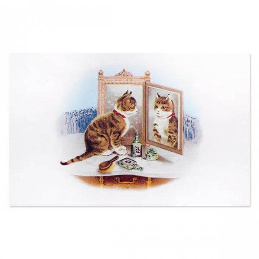 フランス ポストカード 猫 キャット 鏡 鏡台 お化粧（miroir）- 海外