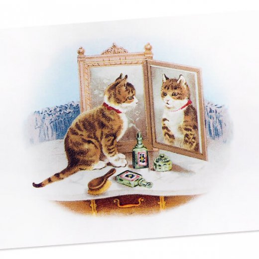 フランス ポストカード 猫 キャット 鏡 鏡台 お化粧（miroir）- 海外 絵葉書 ・ 輸入雑貨 Zakka MiniMini