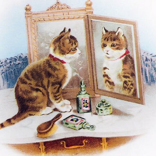 フランス ポストカード 猫 キャット 鏡 鏡台 お化粧（miroir）- 海外 絵葉書 ・ 輸入雑貨 Zakka MiniMini