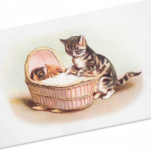 フランス ポストカード 猫 キャット ネコ バスケット（lit d'enfant
