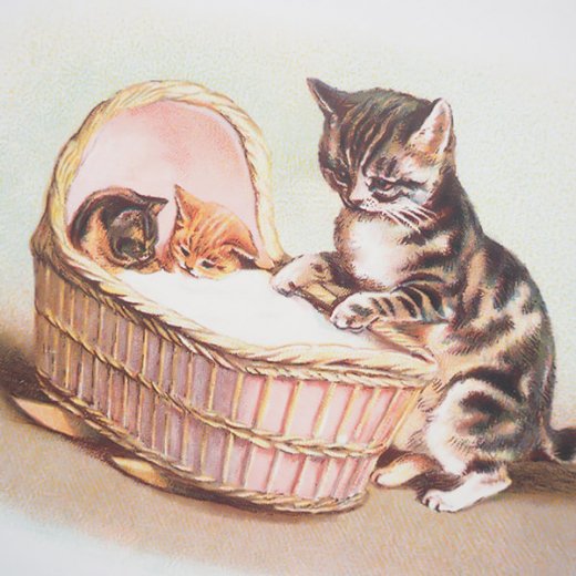 猫(2) L81◆アンティークポストカード フランス ドイツ ベルギー イタリア イギリス ネコ ねこ 子猫 外国絵葉書 ビンテージ
