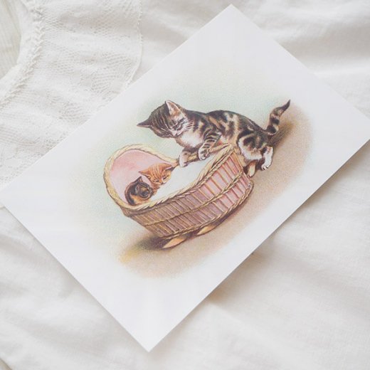 フランス ポストカード 猫 キャット ネコ バスケット（lit d'enfant）- 海外 絵葉書 ・ 輸入雑貨 Zakka MiniMini
