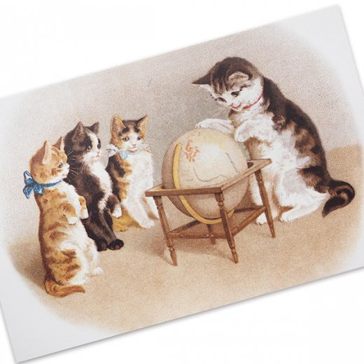 猫(13) W41◆Arthur Thiele アンティークポストカード フランス ドイツ ベルギー イタリア イギリス ネコ ねこ 子猫 外国絵葉書 ビンテージ