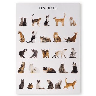 フランス ポストカード（LES CHATS ねこ 猫 キャット)