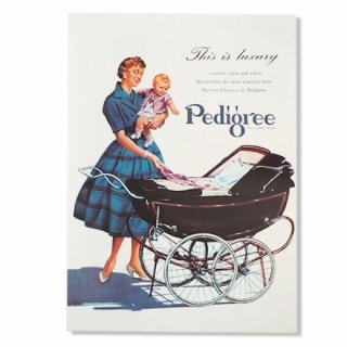 ե  ꥹ ɥХ ݥȥɡpedigree baby carriage)
