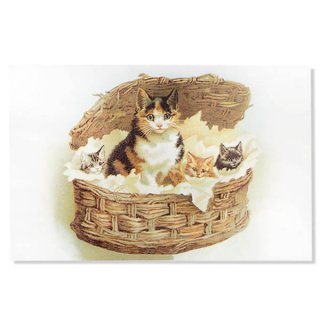 フランス ポストカード/挿絵系 フランス ポストカード 猫 キャット  （lit d'enfant B）