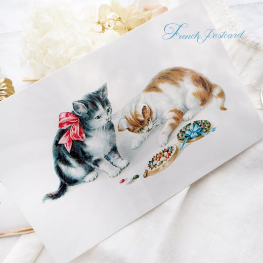 フランス ポストカード 猫 キャット （Boîte de bonbons）- 海外 絵葉書 ・ 輸入雑貨 Zakka MiniMini