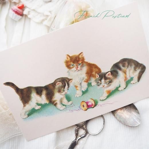 フランス ポストカード （Vilain chat いたずら猫 子猫）- 海外