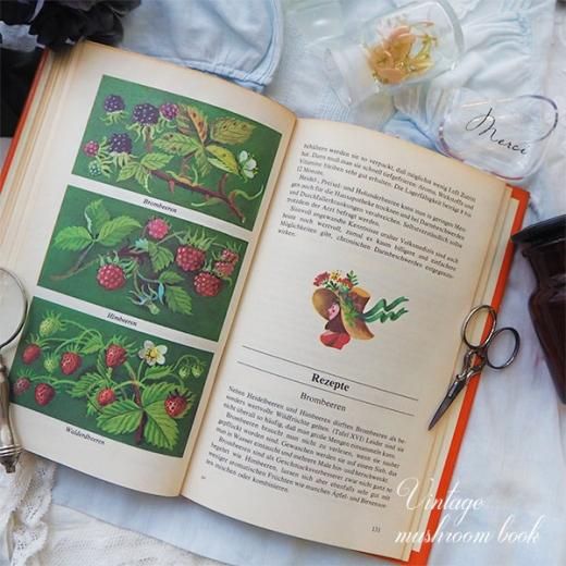 ドイツ 1976年 キノコ 果物 ヴィンテージ本【DDR／旧東ドイツ時代】