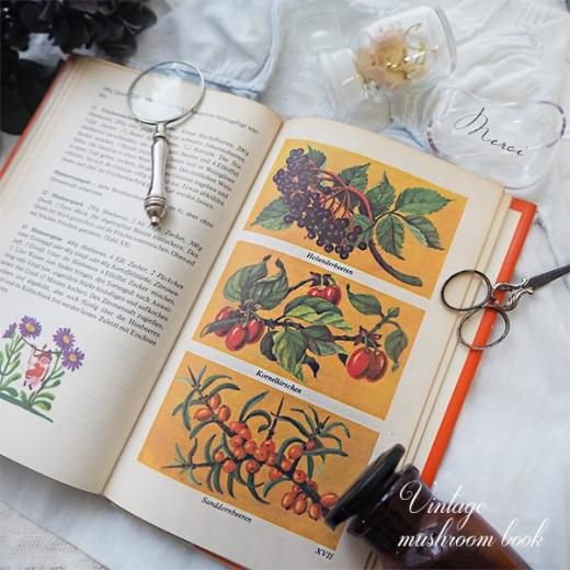 ドイツ語　アンティーク本　絵本 ドイツ ヴィンテージ絵本【 Schneewittchen 白雪姫 】