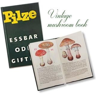 ドイツ 1981年 キノコ 果物 ヴィンテージ本【ソフトカバー ボタニカル
