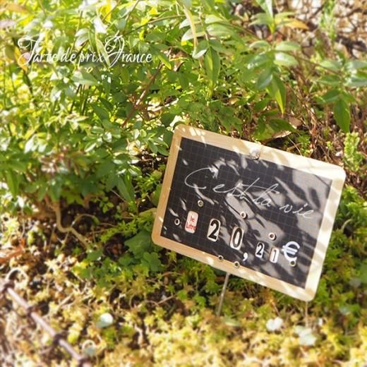 単品販売】フランス蚤の市より ヴィンテージ パリ マルシェ