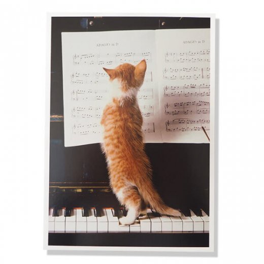 ネコ ポストカード ピアノ 譜面 猫（Cat and piano）
