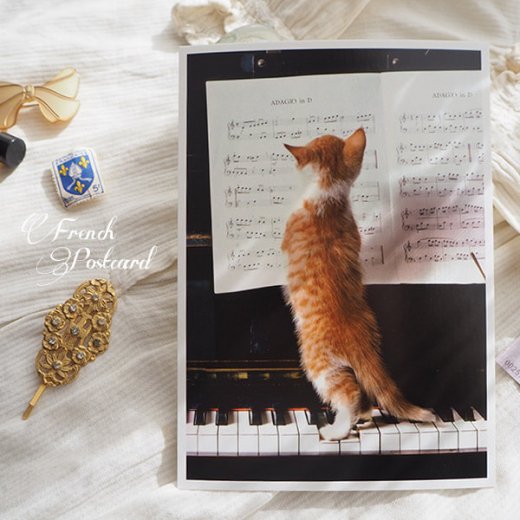 ネコ ポストカード ピアノ 譜面 猫（Cat and piano）