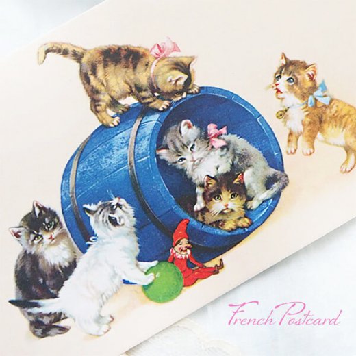 フランス ポストカード 猫 キャット （樽 ネコ Chacun son tour ） - 海外ポストカード・裁縫道具 輸入雑貨 Zakka  MiniMini