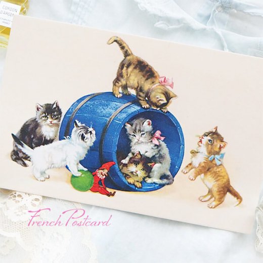 猫(12) S84◆Arthur Thiele アンティークポストカード フランス ドイツ ベルギー イタリア イギリス ネコ ねこ 子猫 外国絵葉書 ビンテージ