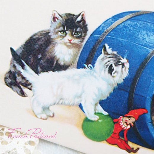 フランス ポストカード 猫 キャット （樽 ネコ Chacun son tour ） - 海外ポストカード・裁縫道具 輸入雑貨 Zakka  MiniMini