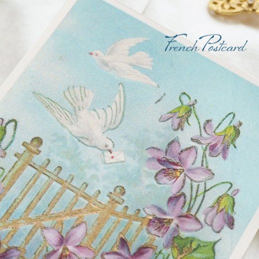  フランス ポストカード スミレ（ レター 幸運を呼ぶ  平和の象徴 白い鳩 Heureuse annee）【画像7】