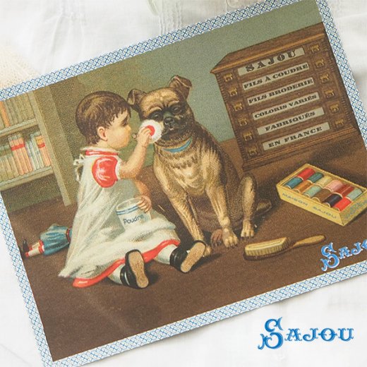 フランス SAJOU ポストカード【 犬 幼子 prends soin de ta peau