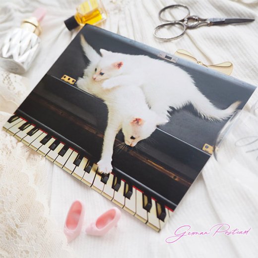  ドイツ ネコ  ポストカード （ピアノ 鍵盤とネコ 白猫）【画像4】