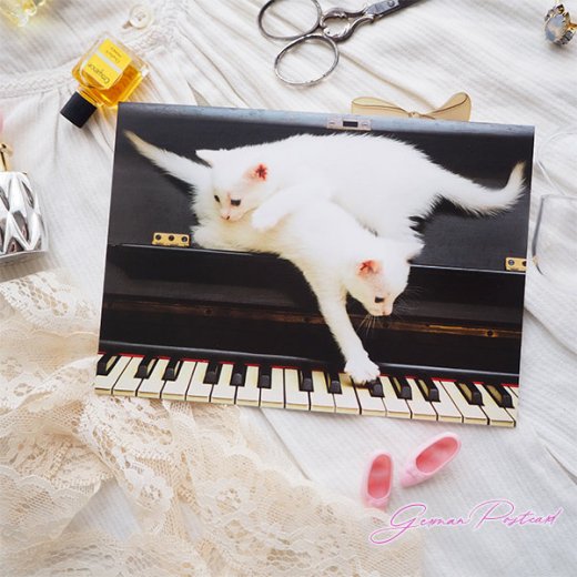  ドイツ ネコ  ポストカード （ピアノ 鍵盤とネコ 白猫）【画像5】