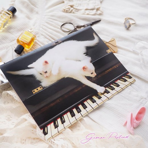  ドイツ ネコ  ポストカード （ピアノ 鍵盤とネコ 白猫）【画像7】