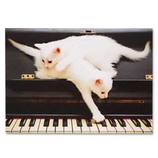 ネコ 猫 モチーフの雑貨  ドイツ ネコ  ポストカード （ピアノ 鍵盤とネコ 白猫）