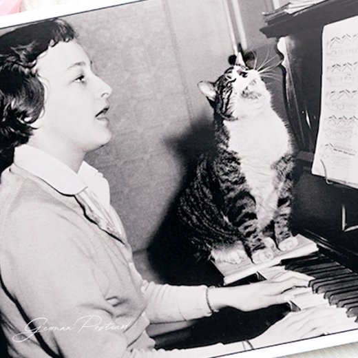  ドイツ ネコ  ポストカード ピアノ 合唱 ネコ 子猫（ Let's sing together）【画像2】