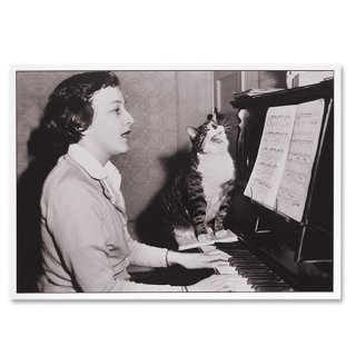 ポストカード/フレンチ系 ドイツ ネコ  ポストカード ピアノ 合唱 ネコ 子猫（ Let's sing together）