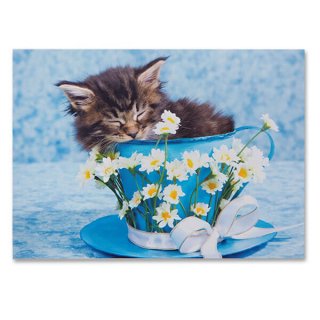 ポストカード/フレンチ系 ドイツ ネコ  ポストカード ピアノ 子猫 ネコ ブルー デイジー