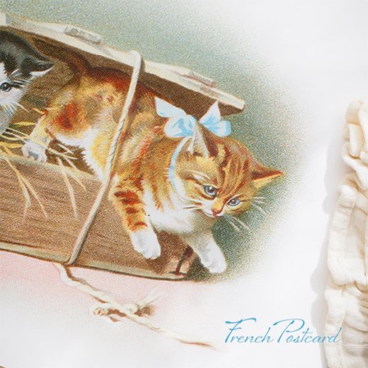 フランス ポストカード ネコ リボン ブルー 子猫 小さな冒険（Petite aventure B）【画像3】
