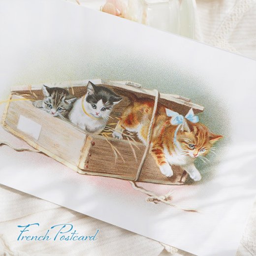  フランス ポストカード ネコ リボン ブルー 子猫 小さな冒険（Petite aventure B）【画像4】