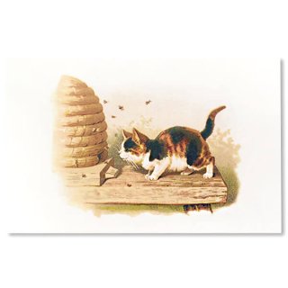 フランス ポストカード/挿絵系 フランス ポストカード 猫 子猫 みつばちとネコ（Premonition d'une catastrophe）