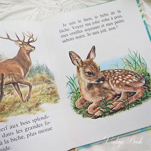 フランス 1970年 ヴィンテージ絵本 うさぎ 子鹿 小鳥 ハリネズミ フランス 1970年 ヴィンテージ絵本 うさぎ 子鹿 小鳥 ハリネズミ