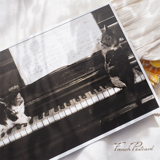 ネコ ポストカード  グランドピアノ 二匹の猫 譜面（Jouons ensemble）【画像8】