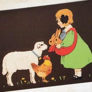 徦 ե󥹥ݥȥ Ami