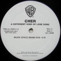 Cher / A Different Kind Of Love Song