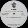 Cher A Different Kind Of Love Song