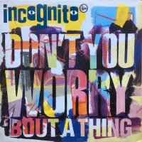 Incognito / Don't You Worry 'Bout A Thing