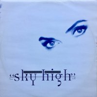 Voices Present Individual / Sky High (12